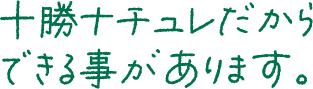 カップで食べる北海道グルメ